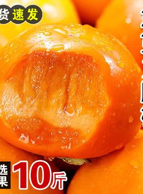 巧克力脆柿子大果装新鲜水果当季黄甜硬柿子火晶特产大软整箱包邮