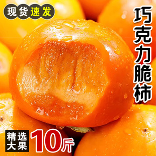 包邮 黄甜硬柿子火晶特产大软整箱 新鲜水果当季 巧克力脆柿子大果装
