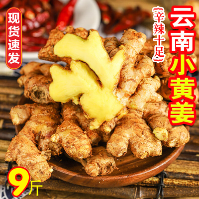 云南小黄姜现挖现发新鲜生姜