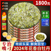 2024年福鼎新茶白茶头采明前荒野花香白牡丹茶饼非寿眉茶叶茶饼