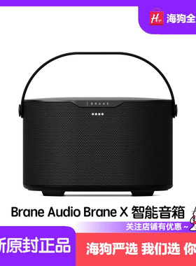 Brane Audio Brane X智能便携式蓝牙音箱户外音响防水低音炮