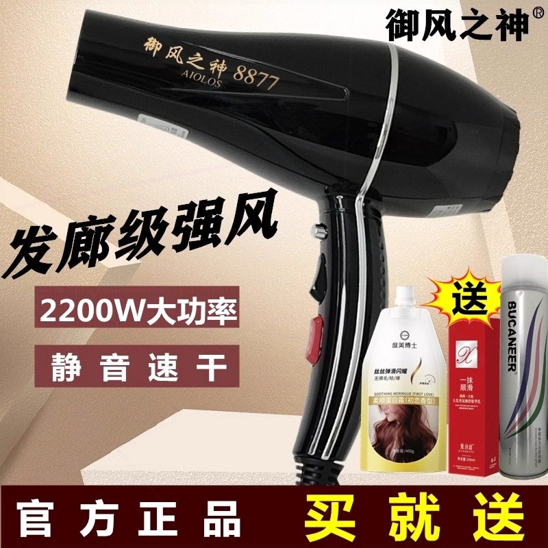 国宏电吹风机御风之神大功率速干发型师专用家用护发冷热风理发店