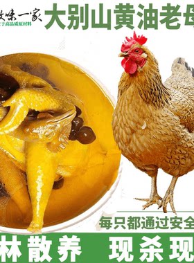 老母鸡土鸡农家散养顺丰发货