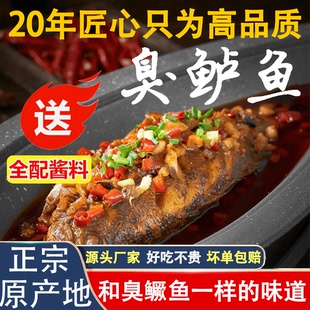 黄山臭鲈鱼安徽特产正宗徽菜真空活鱼宰杀腌制净膛去鳞淡水臭鳜鱼
