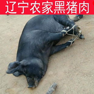 农家猪肉农家自养黑猪肉排骨新鲜五花肉笨猪肉猪蹄庄河农家笨猪肉