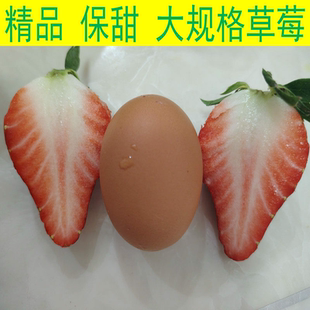 正宗丹东99草莓 红颜草莓新鲜水果礼盒包装 头茬草莓大果精品草莓