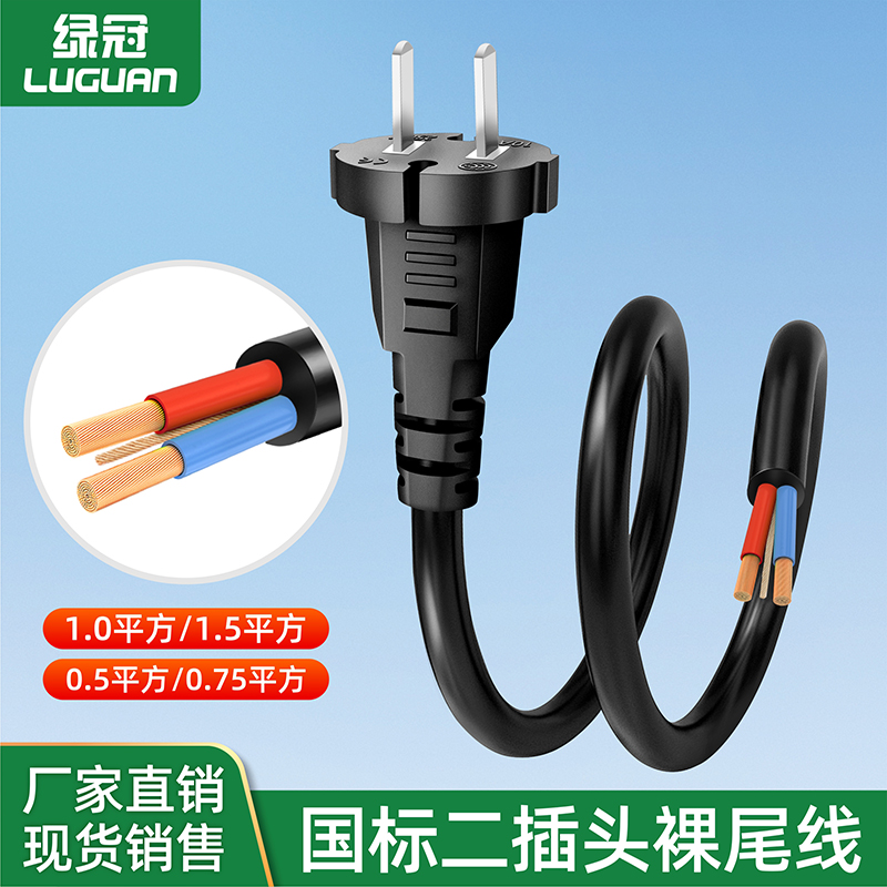 两脚插绿冠工具电源线国标2插头