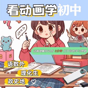 小学初中高中大学全科 语数英理化生政史地学生 知识视频U盘合集