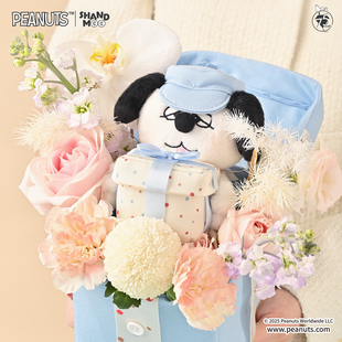 山莫奥拉夫史努比小狗玩偶礼物盒公仔七夕送闺蜜女朋友生日礼物