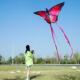 Beautiful Crystal butterfly YongJian kites Red Butterfly kit
