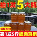 防漏蜂蜜口粮深山农家土 100%纯蜂蜜正宗百花蜜小包装 一件代发