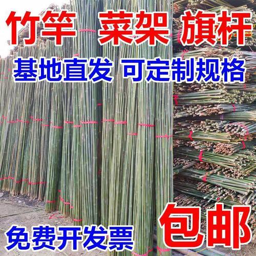 竹竿菜园搭架豆角黄瓜番茄篱笆
