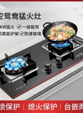 管道瓦斯人工灶双口炉沼
