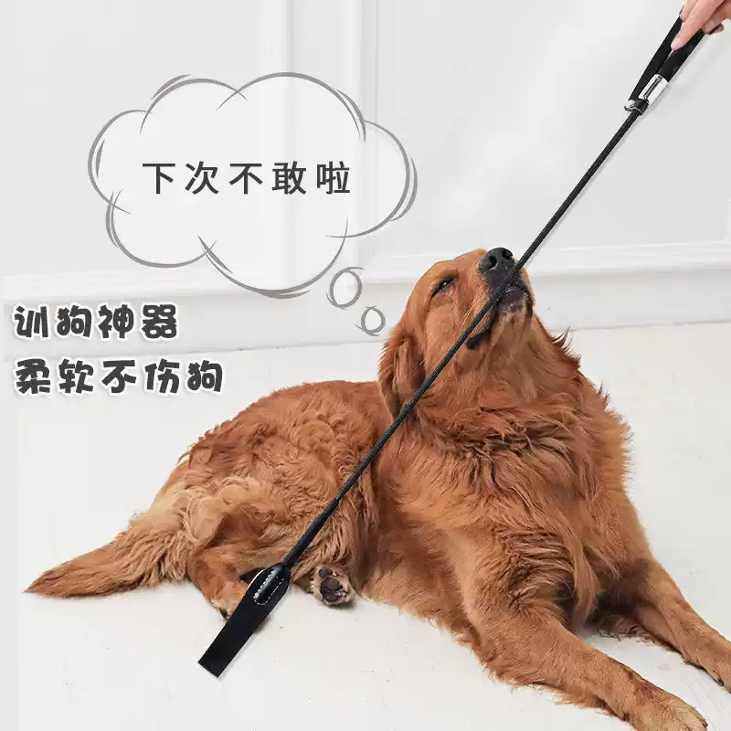 训狗专用工具皮鞭训狗器狗打棒拍