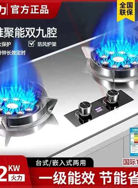 德国正品燃气灶双灶家用台式猛火灶猛火新款出租房定时煤气灶嵌入
