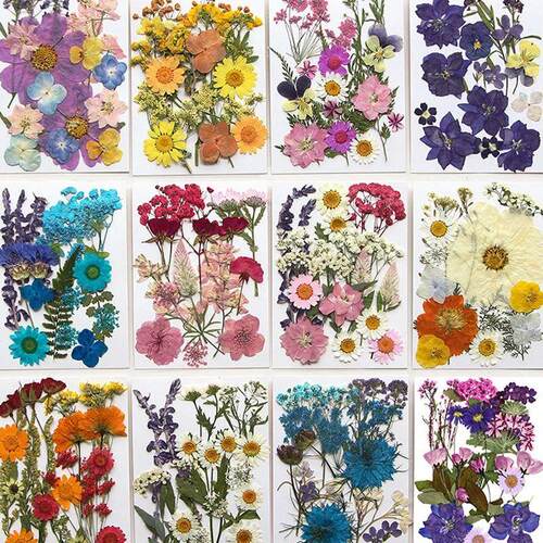 Dried Flower Set 16-19PCS Pack Pressed Real Natural Flowers
