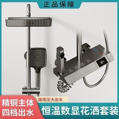 十大品牌家用全铜枪灰色花洒