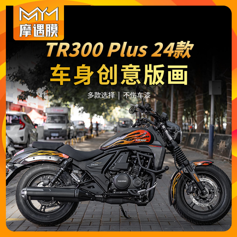 适用24款豪爵TR300PLUS贴纸拉花