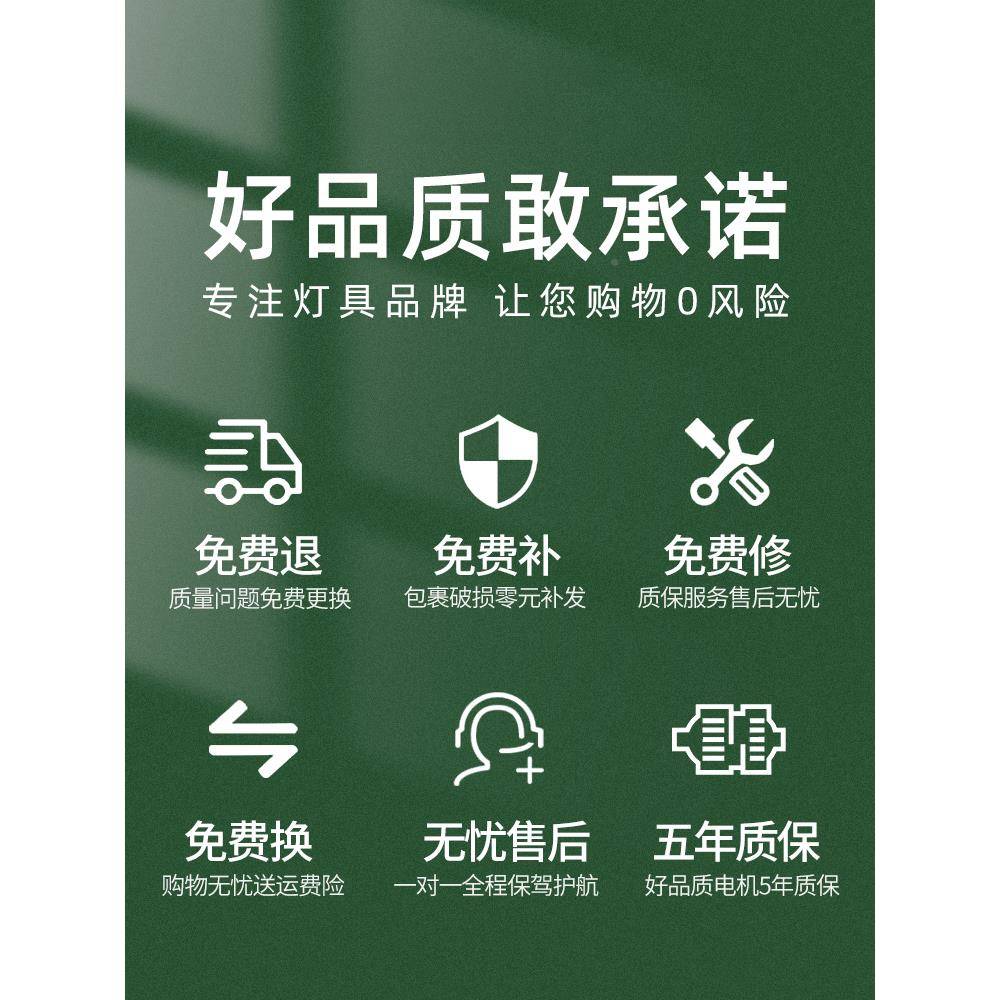 61666灯风0新24款家扇用客厅2餐吊电扇灯室卧厅简灯约变带风扇吊