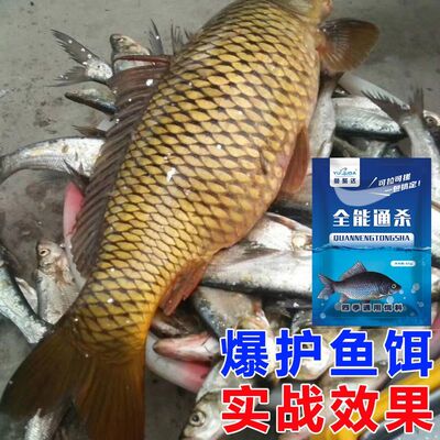 鲫鱼饵料野钓鱼饵料黑坑野钓大板鲫腥香鱼饵含拉丝粉果香鱼饵料