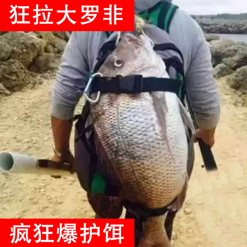 罗非鱼饵料专用野钓黑坑福寿罗飞腥味肝味藻香鱼饵水库大非钓鱼料