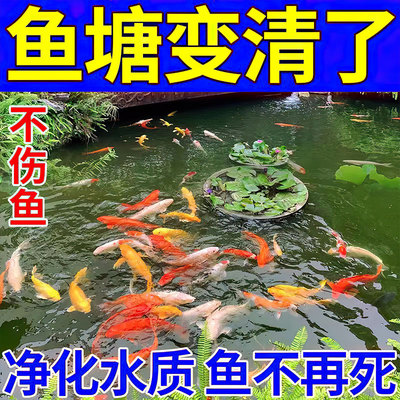 鱼塘净水剂池塘变清改底解毒一滴水清除藻苔油膜消毒杀菌药净化剂