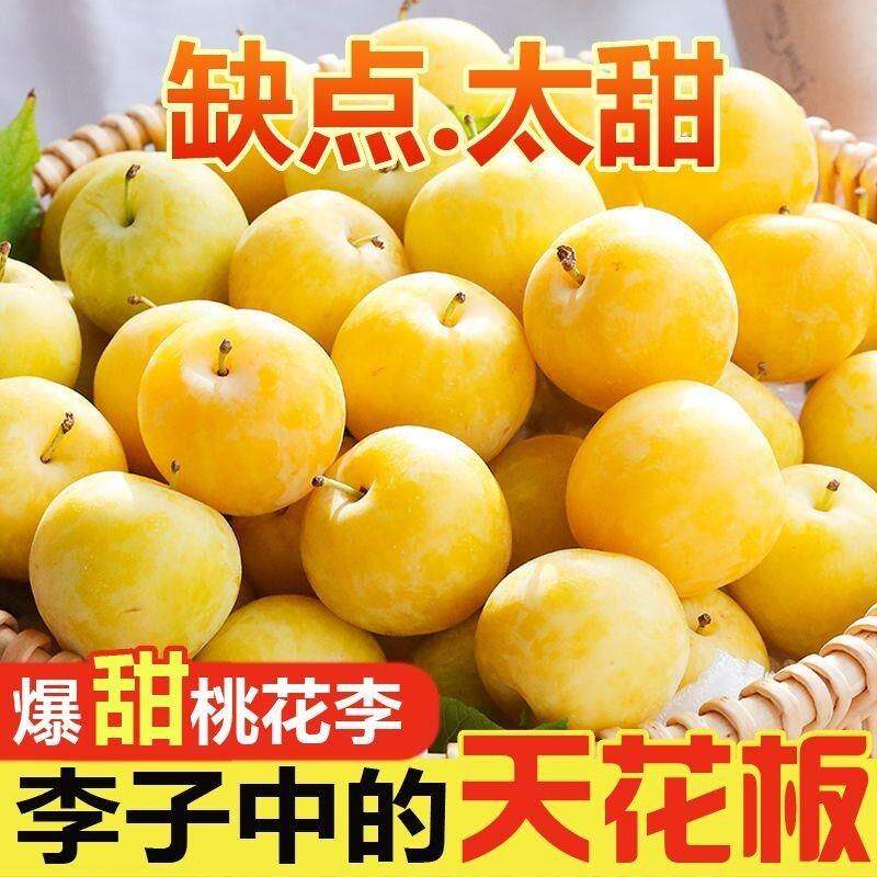 纯甜四川桃花李冰糖李子蜂糖李子果新鲜蜂蜜黄金奈李5斤水果包邮
