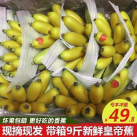 海南三亞皇帝蕉 小米蕉 帝王蕉 新鮮水果蘋(píng)果香蕉5斤裝順豐包郵
