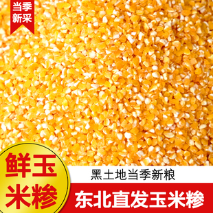 东北玉米碴子玉米糁新货农家小碴子细碴子苞米碴玉米碎棒子碴子粥