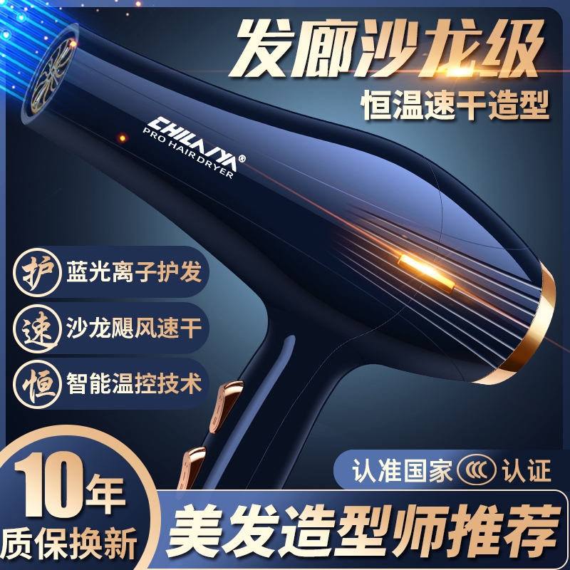 电吹风机家用大功率发廊专用护发光负离子大风力速干风筒理发店蓝