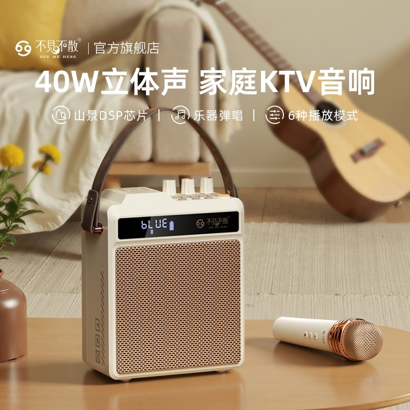 高端户外专业k歌音响自带声卡一便携式广场舞蓝牙小音箱体大功率