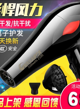 爱凤尔电吹风机家用大功率冷热风