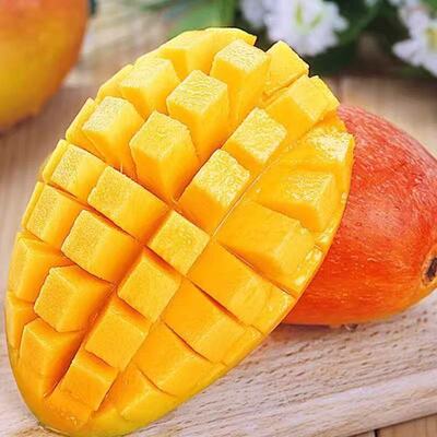 广西彩芒1斤100g+