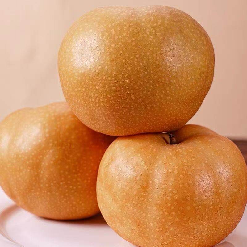 莱阳南水梨4个单果150g+