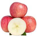 山东红富士苹果2斤70mm