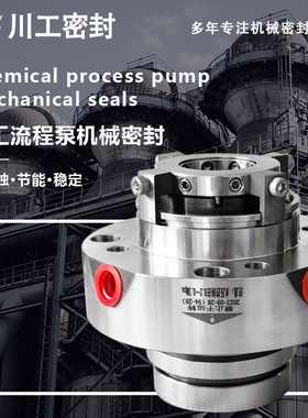 机械密封压力 ZBVR-70-U2U2VGG ZBVRD-70 双端面机封双机封