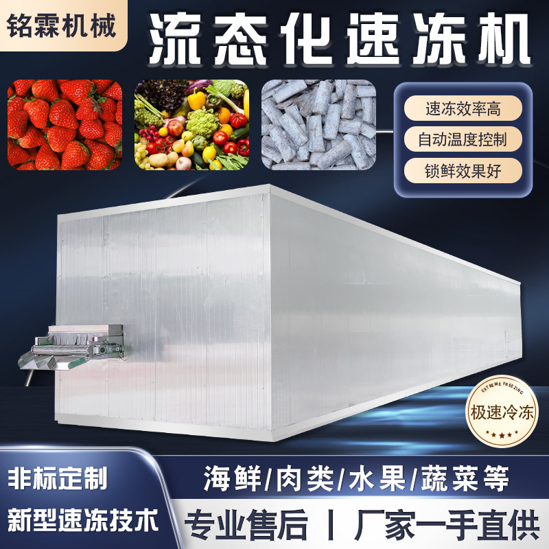杨梅车厘子速冻流水线 枣糕面条速冻机 皮皮虾海参流态化速冻设备