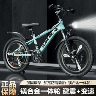 儿童自行车男孩男款6到8-10-12岁中大童女孩变速山地车小学生单车