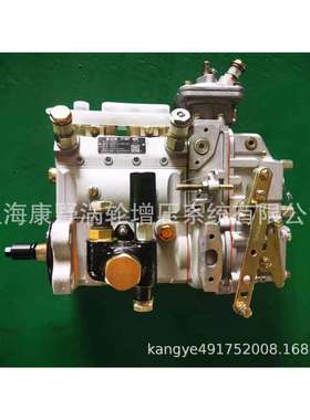 YC喷油泵BYAS0-1111100B4A61K和D0300-1111050BBH4AD100R0076