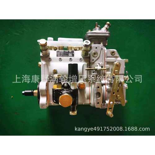YC喷油泵BYAS0-1111100B4A61K和D0300-1111050BBH4AD100R0076