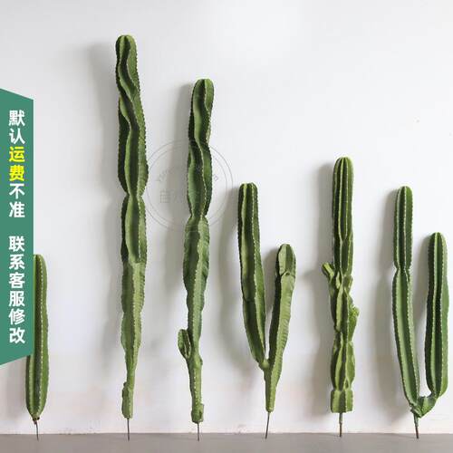PU仙人柱大型天轮柱假仙人掌仿真沙生植物装饰摆件假绿植仿真花