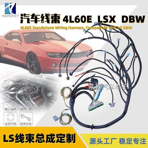 4L60E LS LS3 Drive by wire DBW 03-07 发动机线束ebay 生产