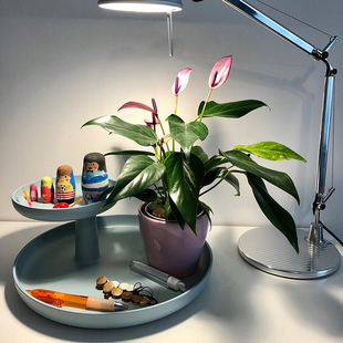 预定瑞士进口正版 Vitra 桌面收纳盒 Rotary Tray