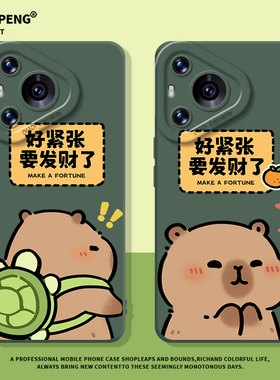 要发财了卡皮巴拉适用华为mate80手机壳pura70pro+乌龟nova14水豚13情侣12可爱70绿色50/40/11/10/30/9/8/7/6