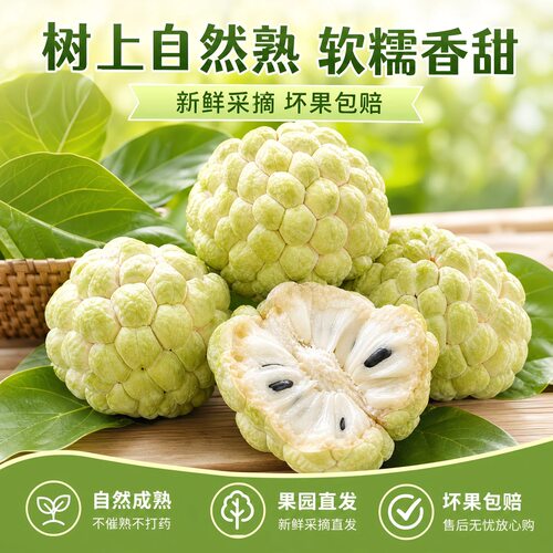 潮汕大目释迦果樟林本地林檎果牛奶释迦番荔枝佛头摩尼果新鲜水果