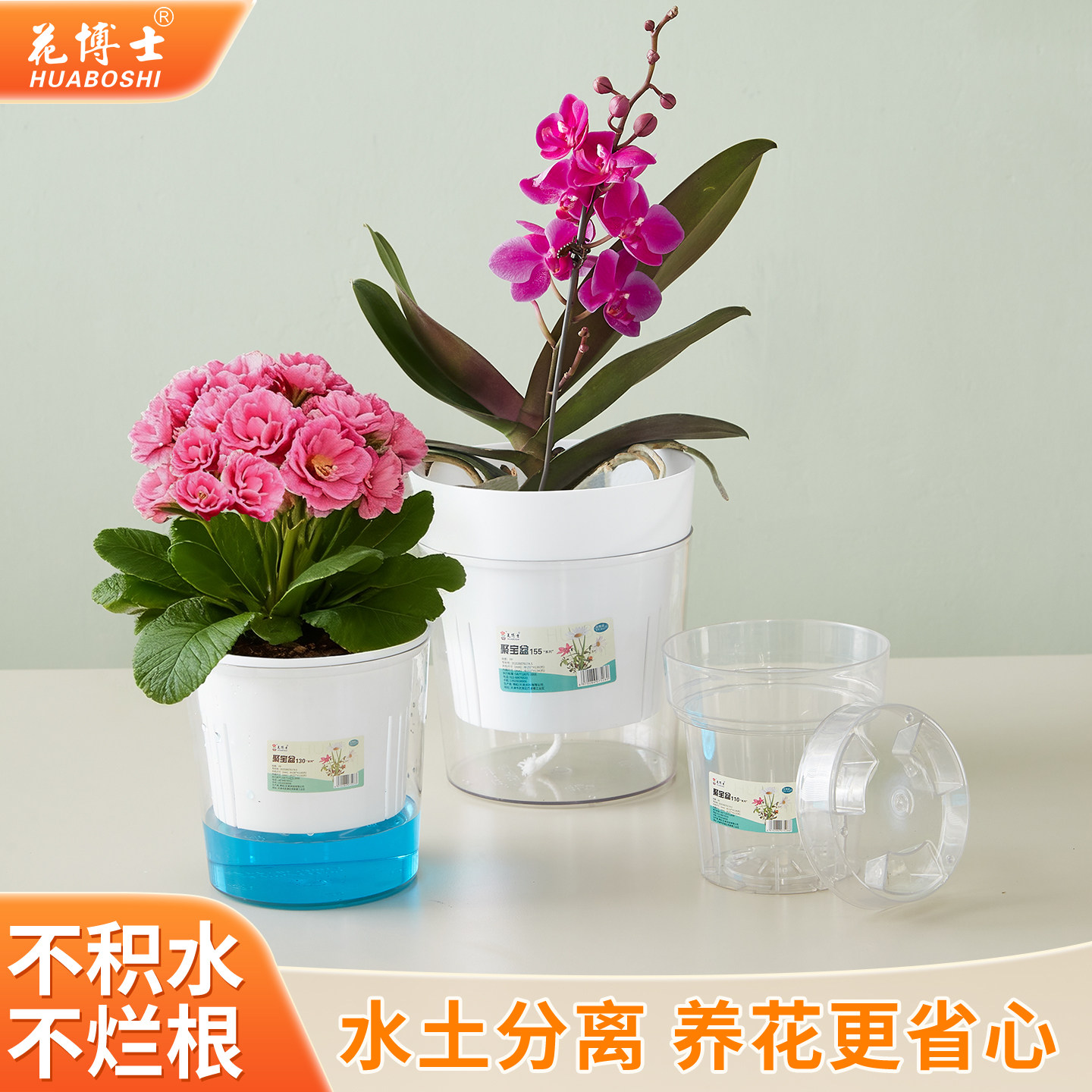 花博士新款多肉塑料小花盆