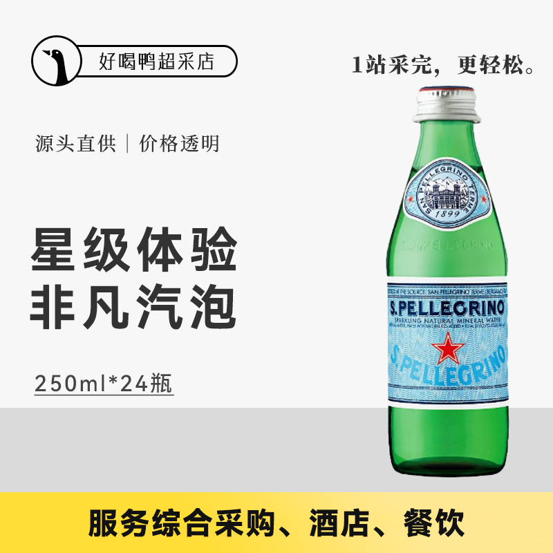 S.Pellegrino圣培露天然矿泉水气泡水意大利进口水250ml*24瓶整箱