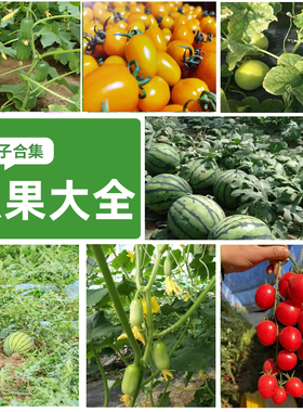 瓜果种子水果种子蔬菜种子8424西瓜种子正品易成活四季可播小菜园