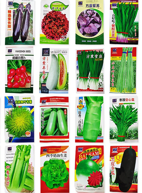 四季蔬菜种子农家阳台盆栽种菜菜种大全香菜生菜韭菜种孑播种四季