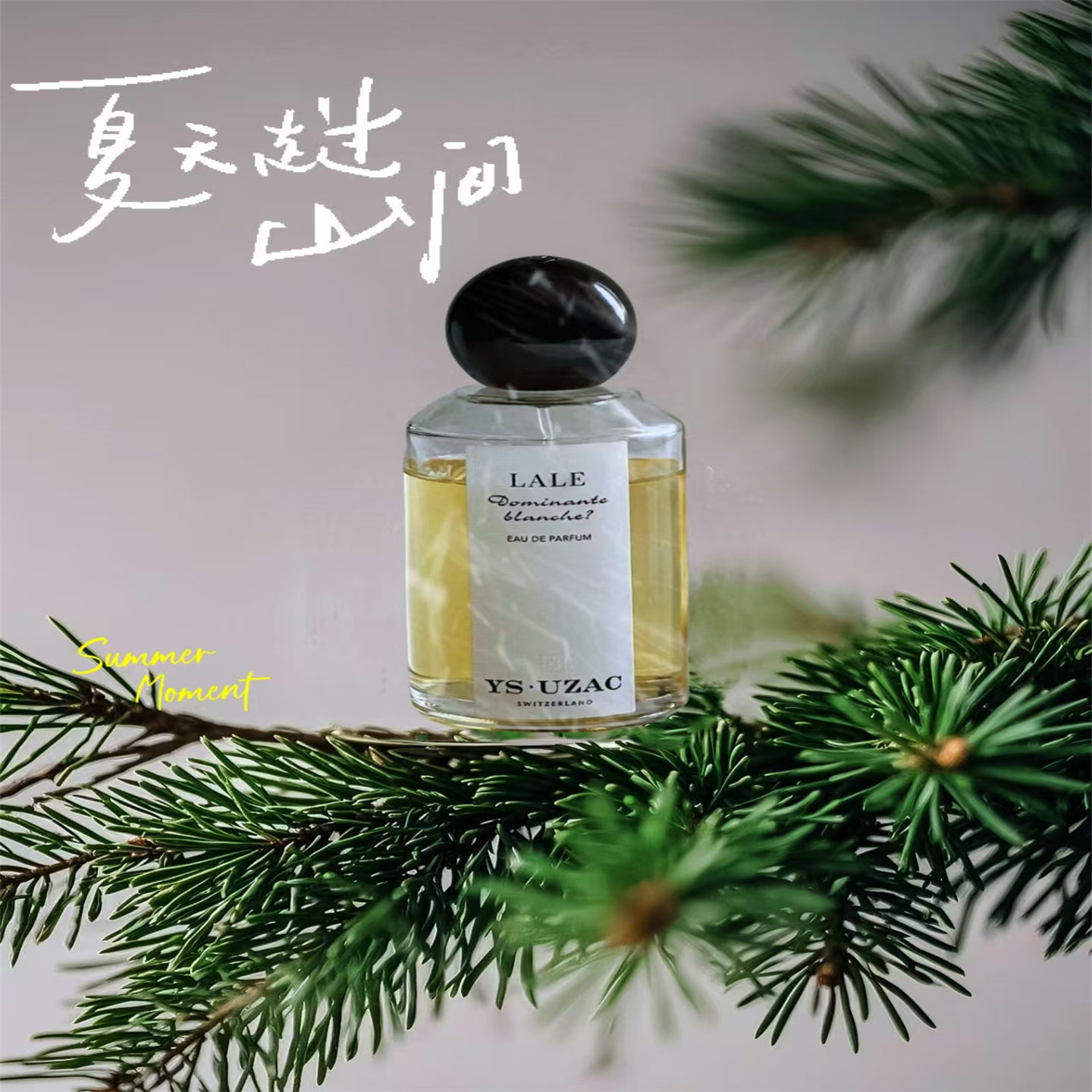 伊苏之眉香水不朽真情试香小样